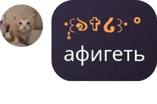 🏴‍☠️ emoji пипидастр pack by @QuotLyBot Telegram sticker 15 of 29
