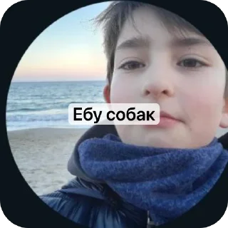 🫥 emoji Пипидастр Telegram sticker 19 of 116
