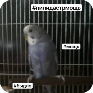 🫥 emoji Вару и другое 😥 ➡️ @Ctikerubot Telegram sticker 4 of 4