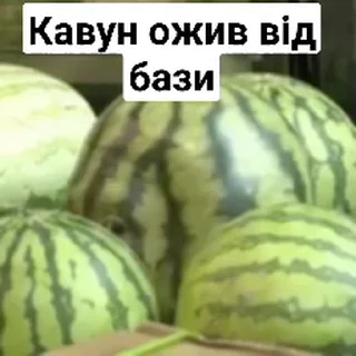 Sticker from Кавуны и другое