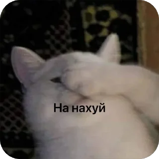 Sticker from MeowWw
