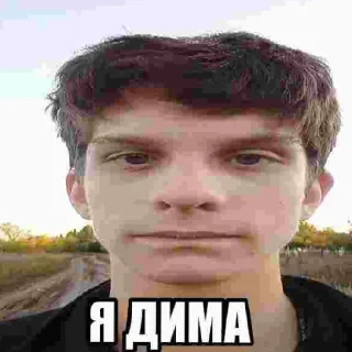 Sticker from Член?