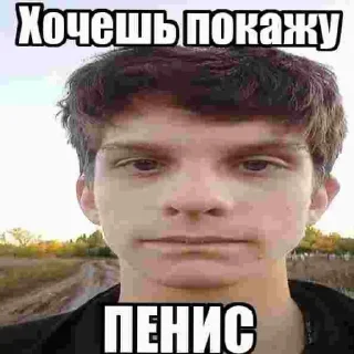 Sticker from Член?