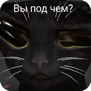 🤪 emoji cu cat memes Telegram sticker 6 of 72
