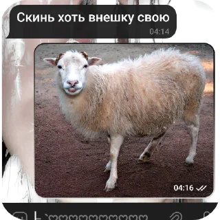 Sticker from ееее