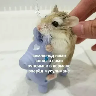 😎 emoji Свяжий эчпочмак ➡️ @Ctikerubot Telegram sticker 13 of 18