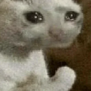😭 emoji Стики 9632 из @Anonymnyi_chat_bot Telegram sticker 15 of 120
