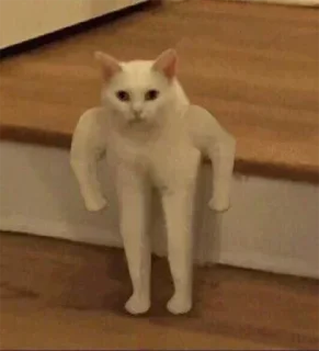 😾 emoji Стики 9632 из @Anonymnyi_chat_bot Telegram sticker 12 of 120
