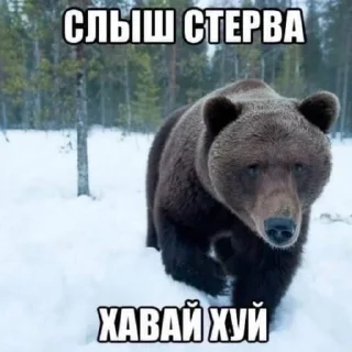 Sticker from ИНТЕРЕСНО А ПОЧЕМУ