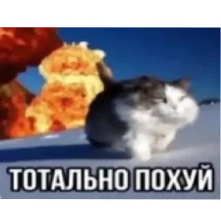 Sticker from Хайп