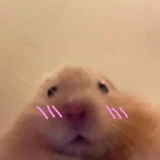 ☺️ emoji Омг Telegram sticker 7 of 40