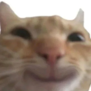 😀 emoji Омг Telegram sticker 6 of 40