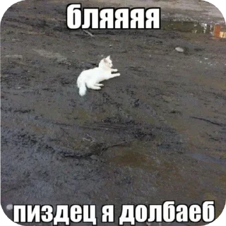 Sticker from Хайп