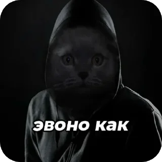 🐱 emoji А почему нет Telegram sticker 12 of 21