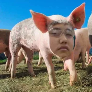 🐖 emoji нура краш Telegram sticker 22 of 26