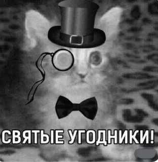 🐈 emoji Джентльмены - Перерождение Telegram sticker 19 of 76