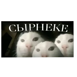🥠 emoji Для Комикс Telegram sticker 8 of 39