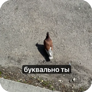 🫥 emoji ::стик Telegram sticker 7 of 70