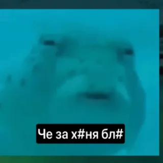 🤨 emoji Стик Telegram sticker 19 of 25