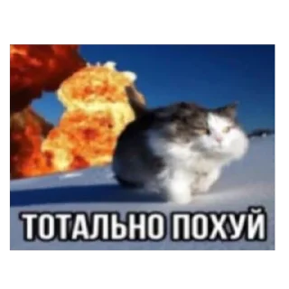 🫥 emoji к ноге Telegram sticker 6 of 83