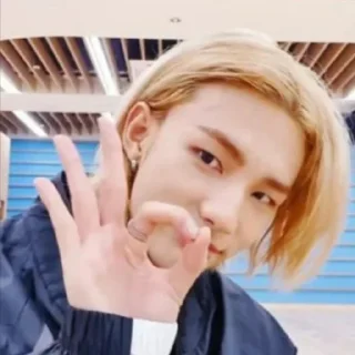 Sticker from 💗stray kids💗