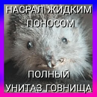 ☺️ emoji К анал Telegram sticker 8 of 39
