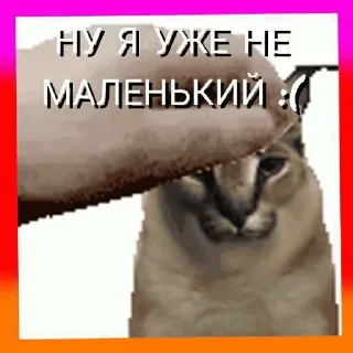 😶 emoji К анал Telegram sticker 17 of 39