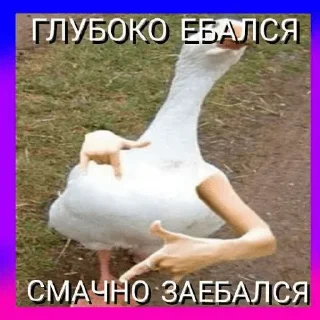 🥰 emoji К анал Telegram sticker 12 of 39