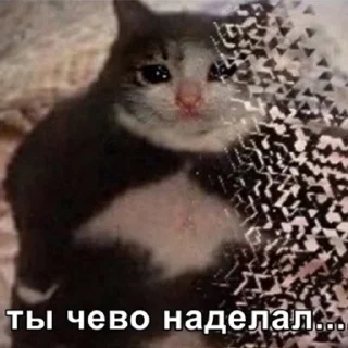 😥 emoji Хау Ду ю Ду Telegram sticker 10 of 82