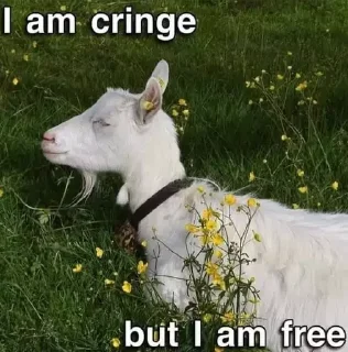 Sticker from I’m cringe but i’m free