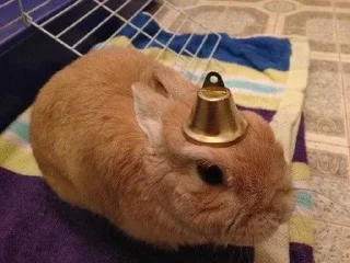 🔔 emoji XD Telegram sticker 4 of 30