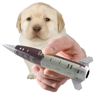 🚀 emoji Friendly nationalist Telegram sticker 23 of 45