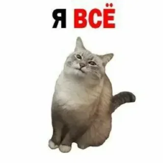 😘 emoji Больше стикеров 👉🏻 @stickertg4 Telegram sticker 10 of 76