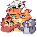 😑 emoji Meme Cats Telegram sticker 20 of 35