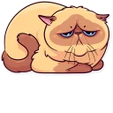 😞 emoji Meme Cats Telegram sticker 19 of 35