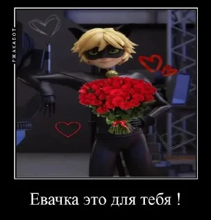 Sticker from супер кот романтика