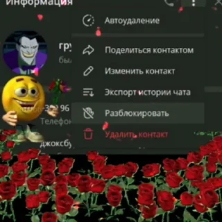 🥰 emoji это даша? Telegram sticker 19 of 22