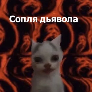 🫣 emoji это даша? Telegram sticker 9 of 22