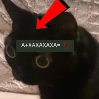 ❓ emoji это даша? Telegram sticker 10 of 22