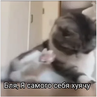 😥 emoji РасКумарик @prstickers Telegram sticker 24 of 26