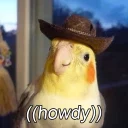 Sticker from Random bird stuff