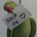 Sticker from Random bird stuff