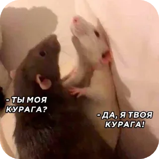 ❤ emoji Конь чаю!!! Telegram sticker 15 of 88