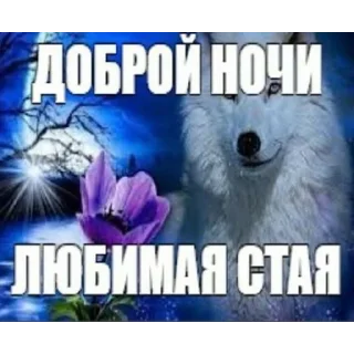 💤 emoji Спокойной ночи @stickernayaa Telegram sticker 2 of 49