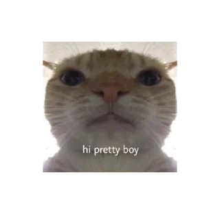 💗 emoji сиськи маши Telegram sticker 8 of 14