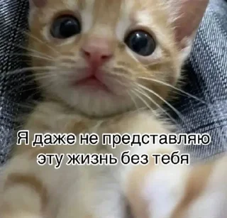 🌟 emoji Солнышко Telegram sticker 10 of 22