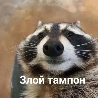 Sticker from Еноты