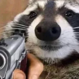 😡 emoji Еноты Telegram sticker 17 of 38