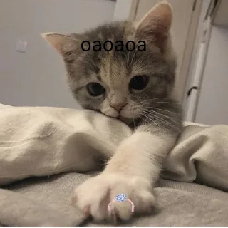 🏩 emoji case of life Telegram sticker 7 of 41