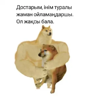 😪 emoji Алга Казахстан! 🇰🇿 Telegram sticker 10 of 15